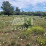  Bale, agricultural land with sea view Bale 7800244 thumb9