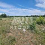  Bale, agricultural land with sea view Bale 7800244 thumb6