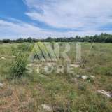  Bale, agricultural land with sea view Bale 7800244 thumb7