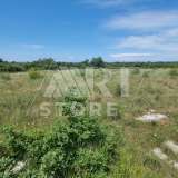  Bale, agricultural land with sea view Bale 7800244 thumb1
