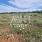  Bale, agricultural land with sea view Bale 7800244 thumb8