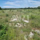  Bale, agricultural land with sea view Bale 7800244 thumb3
