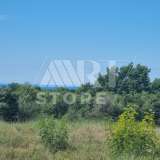  Bale, agricultural land with sea view Bale 7800244 thumb2