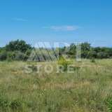  Bale, agricultural land with sea view Bale 7800244 thumb0