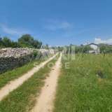  Vodnjan, Peroj - Agricultural land, 1500 m2 Peroj 7800347 thumb2