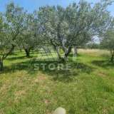  Vodnjan, Peroj - Agricultural land, 1500 m2 Peroj 7800347 thumb4