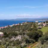  For Sale - (€ 0 / m2), Agricultural 9000 m2 Pylos 8100540 thumb6