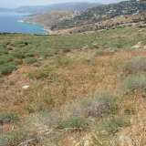  (For Sale) Land Plot || Cyclades/Andros Chora - 4.400,00Sq.m, 120.000€ Andros (Chora) 4900577 thumb3