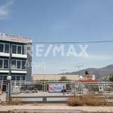  For Sale - (€ 0 / m2), Building 1261 m2 Volos 8200076 thumb9