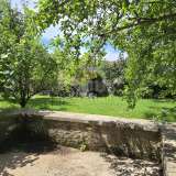  ISTRIA, SVETVINČENAT - Stone house with a spacious garden Svetvinčenat 8201101 thumb4