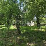  ISTRIA, SVETVINČENAT - Stone house with a spacious garden Svetvinčenat 8201101 thumb19