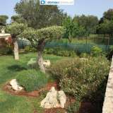  72015 Apulien - Chalet mit wunderschönen Garten und Pool Fasano 7201482 thumb10