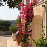  72015 Apulien - Chalet mit wunderschönen Garten und Pool Fasano 7201482 thumb5