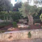  72015 Apulien - Chalet mit wunderschönen Garten und Pool Fasano 7201482 thumb8