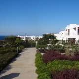  Пентхаус в Гирне в отличном с видом на море Кириния (Кирения) 3501561 thumb4
