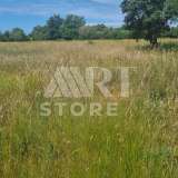 Bale, surroundings, Agricultural land with water Medulin 7801772 thumb6
