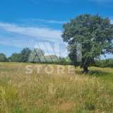  Bale, surroundings, Agricultural land with water Medulin 7801772 thumb4