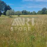  Bale, surroundings, Agricultural land with water Medulin 7801772 thumb2