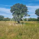  Bale, surroundings, Agricultural land with water Medulin 7801772 thumb3
