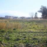  Building land with index 0,50 Scalea 5901861 thumb7