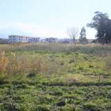  Building land with index 0,50 Scalea 5901861 thumb6