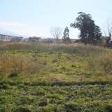  Building land with index 0,50 Scalea 5901861 thumb5