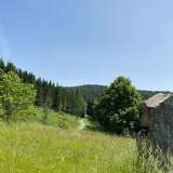  Kärnten Metnitz – Idyllisch gelegenes Einfamilienhaus mit großzügigem Grundstück und Waldflächen Grades 7001883 thumb1