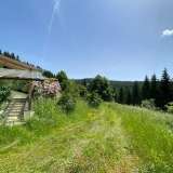  Kärnten Metnitz – Idyllisch gelegenes Einfamilienhaus mit großzügigem Grundstück und Waldflächen Grades 7001883 thumb7