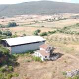  For Sale - (€ 0 / m2), Agricultural 7452 m2 Kekropia (Palairou) 7810161 thumb9