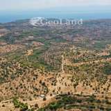  For Sale - (€ 0 / m2), Agricultural 4004 m2 Kranidi 7810178 thumb5