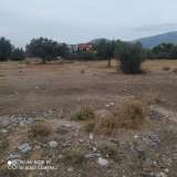  (For Sale) Land Plot || East Attica/Kalyvia-Lagonisi - 528 Sq.m, 100.000€ Lagonisi 7410018 thumb2