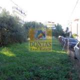  (For Sale) Land Plot || East Attica/Acharnes (Menidi) - 520 Sq.m, 200.000€ Athens 8010051 thumb0