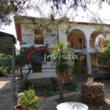  (For Sale) Residential Detached house || Chalkidiki/Sithonia - 180 Sq.m, 4 Bedrooms, 500.000€ Sithonia 5010545 thumb0