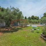  (For Sale) Residential Detached house || Chalkidiki/Sithonia - 80 Sq.m, 3 Bedrooms, 400.000€ Sithonia 5010561 thumb12