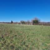  ISTRIA, BARBAN - Building land for investment, open view Barban 8210584 thumb12
