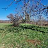  ISTRIA, BARBAN - Building land for investment, open view Barban 8210584 thumb8