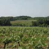  Wonderful and peaceful accredited domain of 40 hectares - Bordeaux AOC wine with 2 habitable properties.40 ha of which 35 ha are planted with vines in the appellation Bordeaux SuperieurThe Cabernet Sauvignon (20 percent), Cabernet  Bordeaux 2410590 thumb4