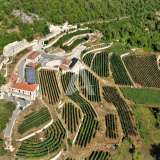  Land in Dobrsko Selo, Cetinje - 7850 m² Cetinje 8210625 thumb0