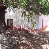  Venda Moradia T5+, Loulé Loule (Central Algarve) 7810734 thumb19