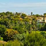  Appartementen vlakbij de golfbaan in Lomas de Campoamor Alicante 8110902 thumb9