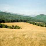  Investment land with excellent location near Borovets Samokov city 4110910 thumb2