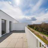  Provisionsfreie, moderne 2-Zimmer Wohnung inklusive riesiger Terrasse Wien 6911181 thumb11