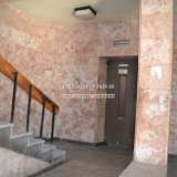   Lovetch 4811346 thumb2