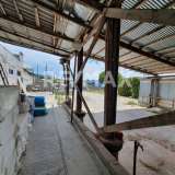  Miete , Industrial Site 4400 m2 Volos 6611466 thumb4