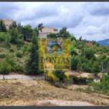  (For Sale) Land Plot || East Attica/Dionysos - 800 Sq.m, 250.000€ Dionysos 8211595 thumb0