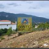  (For Sale) Land Plot || East Attica/Dionysos - 800 Sq.m, 250.000€ Dionysos 8211595 thumb4