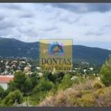  (For Sale) Land Plot || East Attica/Dionysos - 800 Sq.m, 250.000€ Dionysos 8211595 thumb3
