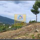  (For Sale) Land Plot || East Attica/Dionysos - 800 Sq.m, 250.000€ Dionysos 8211595 thumb6