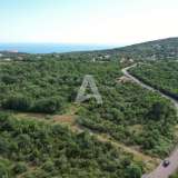  Land plot of 1400m2, Zagora-Kotor Municipality. Zagora 8212253 thumb1