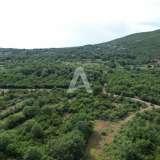  Land plot of 1400m2, Zagora-Kotor Municipality. Zagora 8212253 thumb9